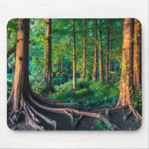 Mousepad Floresta no verão