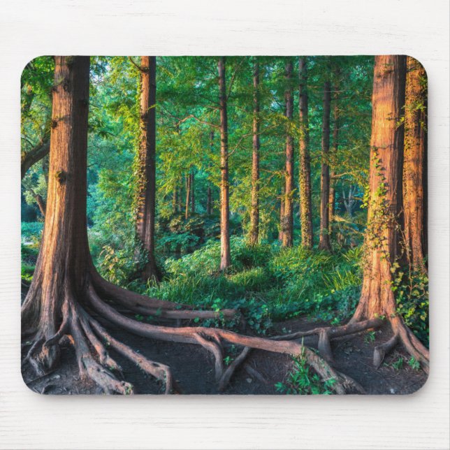 Mousepad Floresta no verão (Frente)