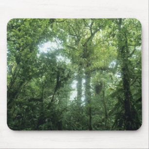 Mousepad Floresta Nubosa de Monteverde, Costa Rica.