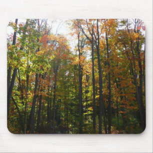 Mousepad Floresta Outonal Ensolarada Paisagem de Outono