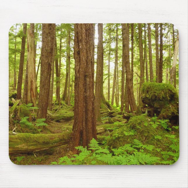 Mousepad Floresta Temperada Alaskiana (Frente)