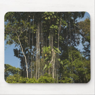 Mousepad Floresta tropical à beira do rio Rewa, Guiana