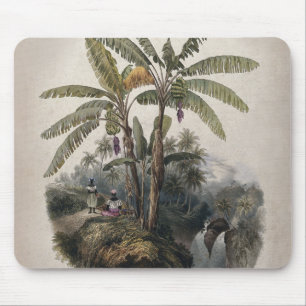 Mousepad Floresta Tropical Antiquada de Banana   Vintage Bo