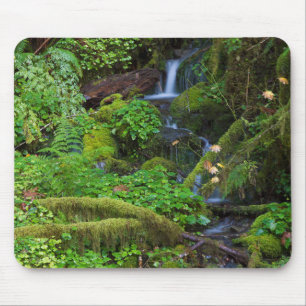 Mousepad Floresta tropical de outono Parque Nacional Olym