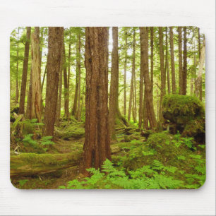 Mousepad Floresta Tropical Temperada no Alasca