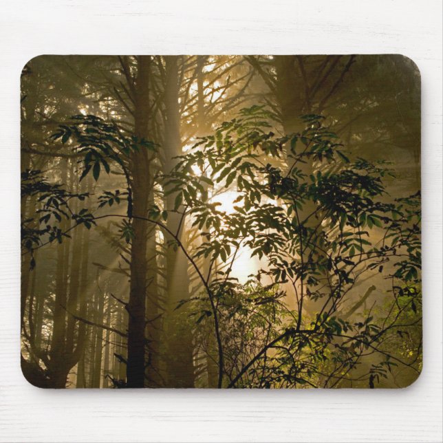 Mousepad Floresta Verde | Costa do Oregon (Frente)