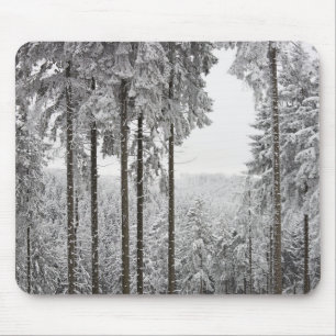 Mousepad Floresta verde no inverno