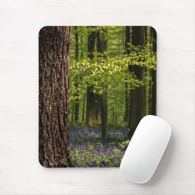 Mousepad Florestas | Bluebells na Bélgica (Com mouse)