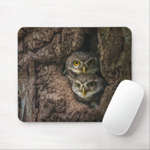 Mousepad Florestas   Duas Corujas