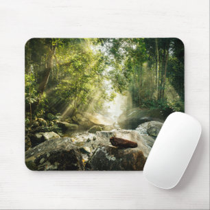 Mousepad Florestas   Floresta Tropical Selva