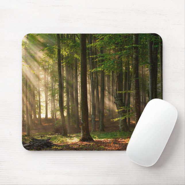 Mousepad Florestas | Florestas do outono (Com mouse)