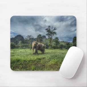 Mousepad Florestas Parque Nacional de Kao Sok