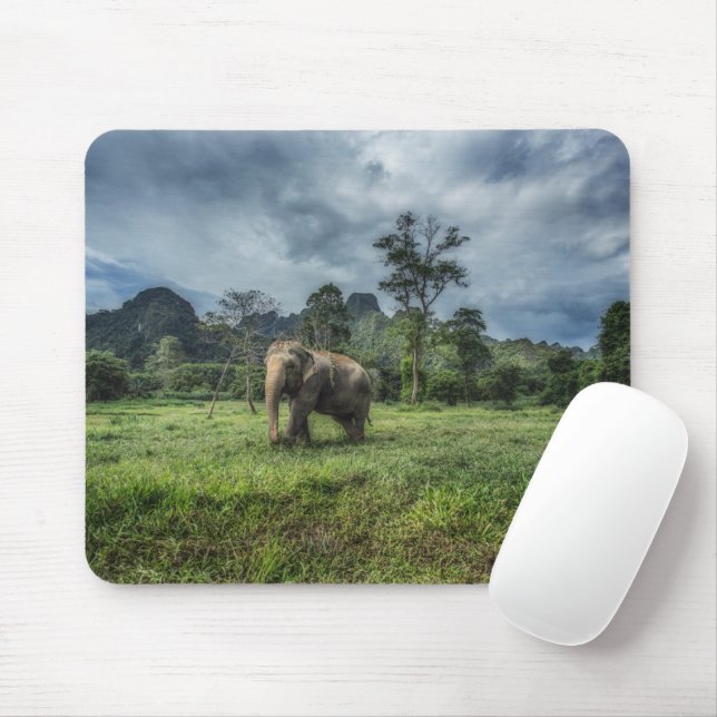 Mousepad Florestas | Parque Nacional de Kao Sok (Com mouse)
