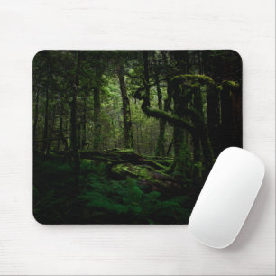 Mousepad Florestas Parque Nacional Routeburn Track Fiordl