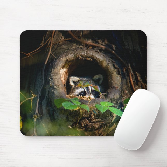 Mousepad Florestas | Raccoon Peeking (Com mouse)