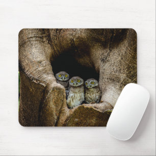Mousepad Florestas Três Corujas