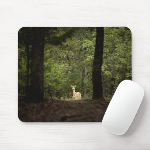 Mousepad Florestas Veado branco na floresta