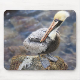 Mousepad Flórida Brown Pelican em pé no Jetty Rock