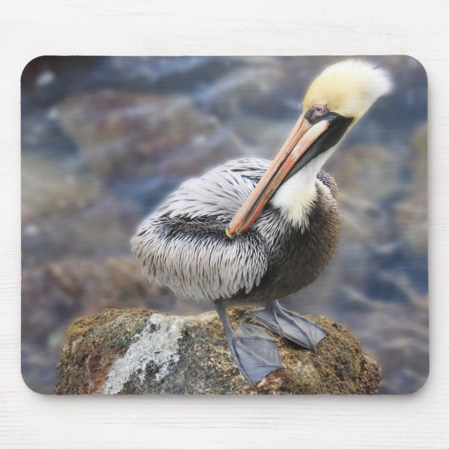 Mousepad Flórida Brown Pelican em pé no Jetty Rock (Frente)