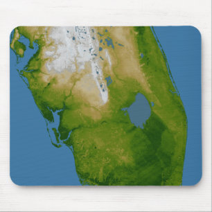 Mousepad Florida do sul
