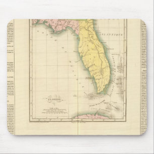 Mousepad Florida EUA