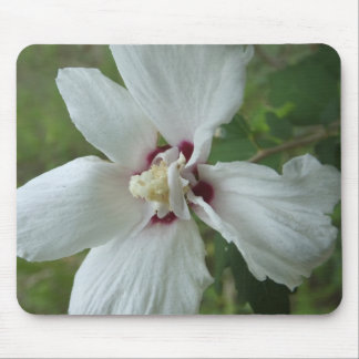 Mousepad Florpad