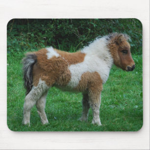 Mousepad Fluffy Adorable Dartmoor Pony
