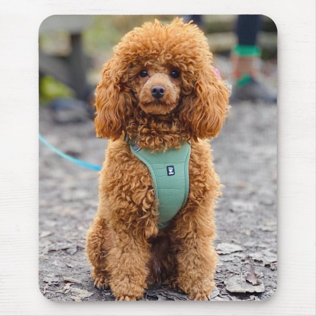 Mousepad Fluffy Brown Poodle Puppy Dog (Frente)
