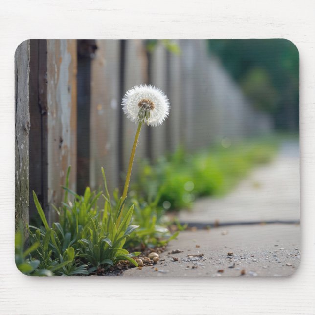 Mousepad Fluffy Dandelion crescendo em uma calçada (Frente)