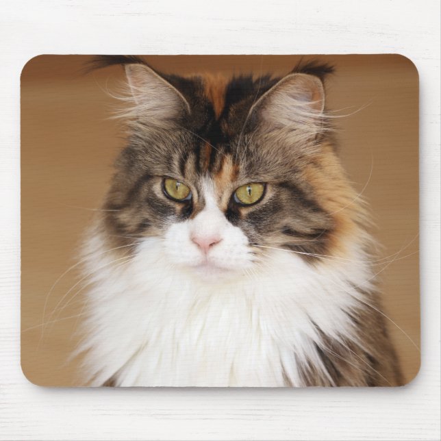Mousepad Fluffy Maine Coon Cat (Frente)