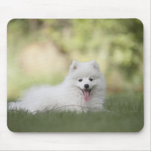 Mousepad Fluffy White Keeshond Puppy