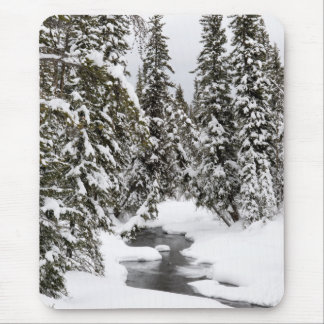 Mousepad Fluxo frio do rio de Yellowstone