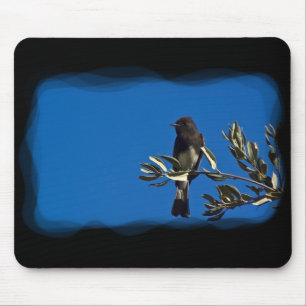 Mousepad Fly Catcher