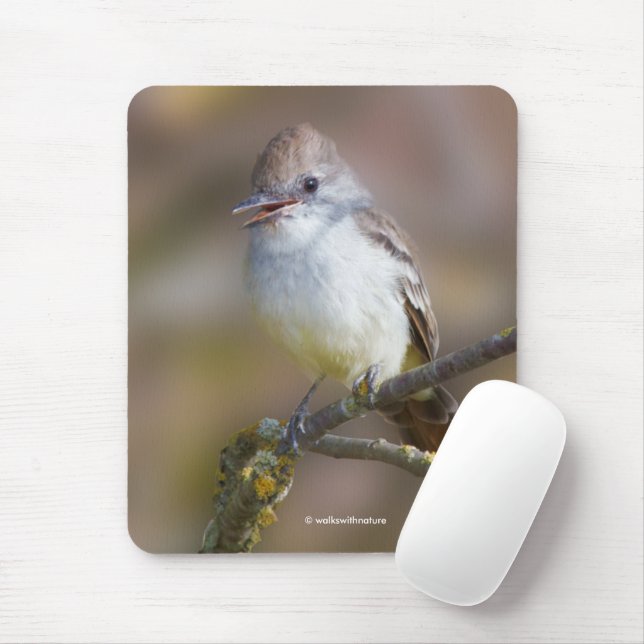 Mousepad Flycatcher-Espinheira-Cinza-Trocada na Ramificação (Com mouse)