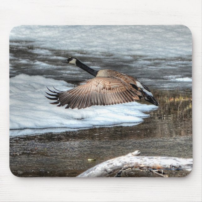 Mousepad Flying Canada Goose, Pond & Snow Willife Photo (Frente)