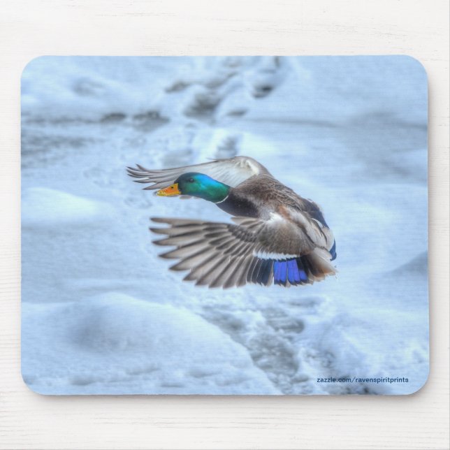 Mousepad Flying Mallard Duck Drake Wildlife Foto (Frente)