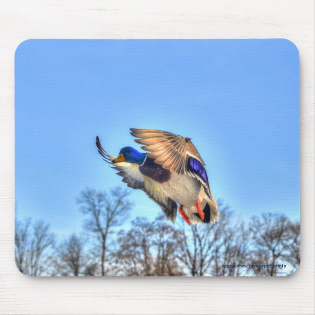 Mousepad Flying Mallard Duck Drake Wildlife Foto (Frente)