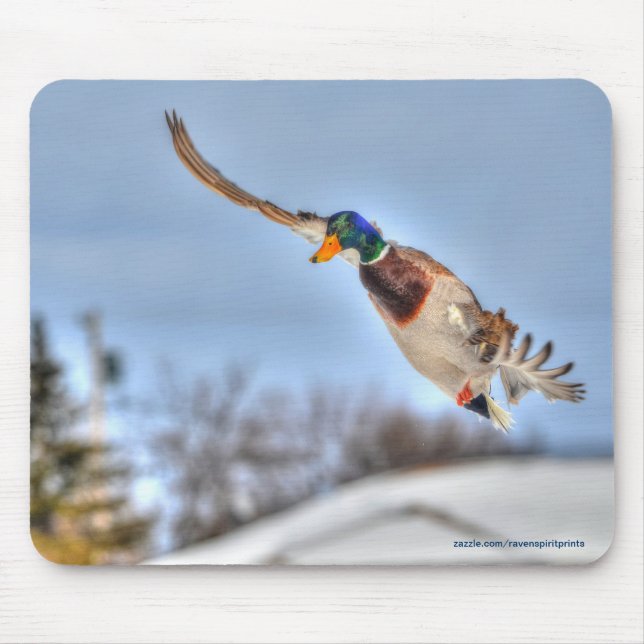 Mousepad Flying Mallard Duck Drake Wildlife Foto (Frente)