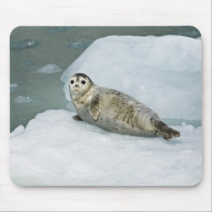 Mousepad Foca-branca do porto na neve