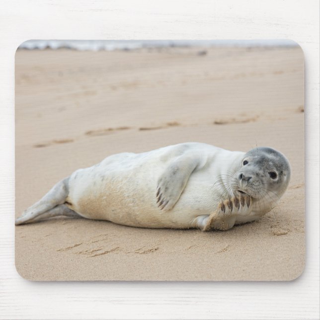 Mousepad Foca-branca em uma praia (Frente)