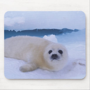Mousepad Foca-da-Groenlândia América do Norte, Canadá, Queb