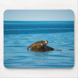 Mousepad Foca-do-Atlântico