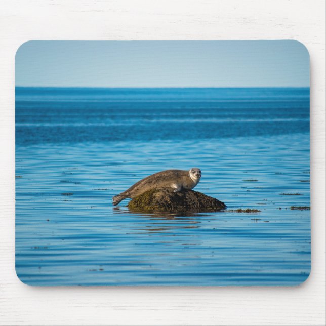 Mousepad Foca-do-Atlântico (Frente)