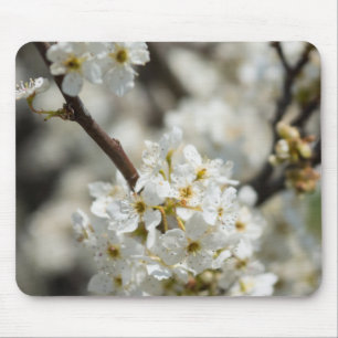 Mousepad Foco Seletivo de Bradford