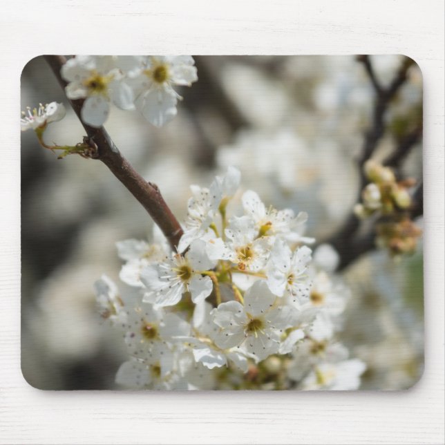 Mousepad Foco Seletivo de Bradford (Frente)