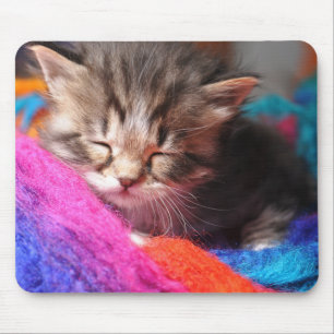 Mousepad Fofa Fotografria de Gatinho Recém-Nascido Adormeci