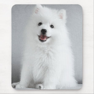 Mousepad Fofo Bonito, Puppy Spitz Japonês