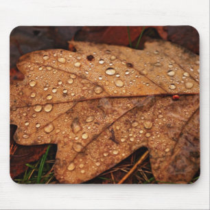 Mousepad Folha amarela do outono
