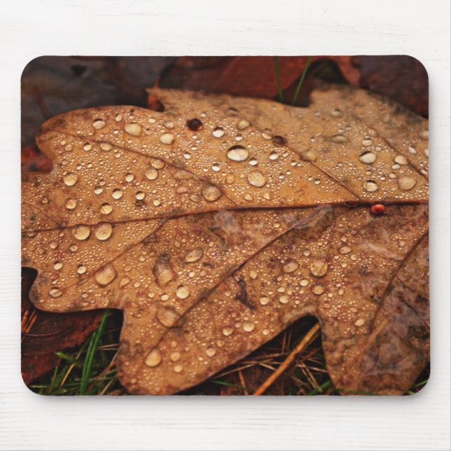Mousepad Folha amarela do outono (Frente)