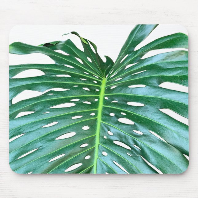 Mousepad Folha da floresta tropical úmida Elegante Palm Fol (Frente)